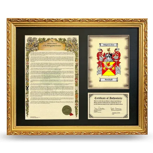 Newhall Framed Surname History and Coat of Arms- Gold