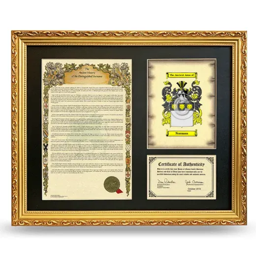 Norman Framed Surname History and Coat of Arms- Gold