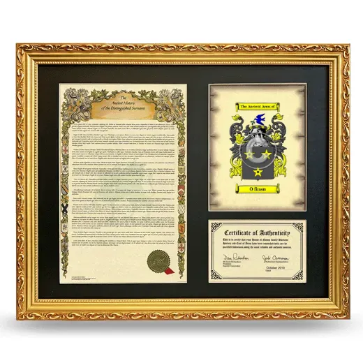O finan Framed Surname History and Coat of Arms- Gold