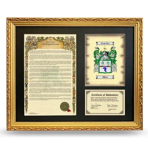 Olters Framed Surname History and Coat of Arms- Gold