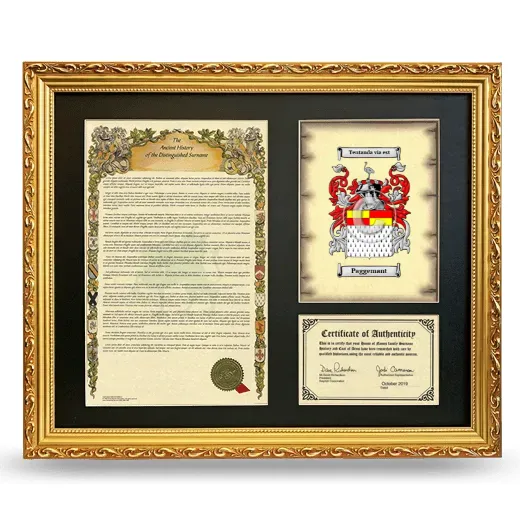 Paggemant Framed Surname History and Coat of Arms- Gold