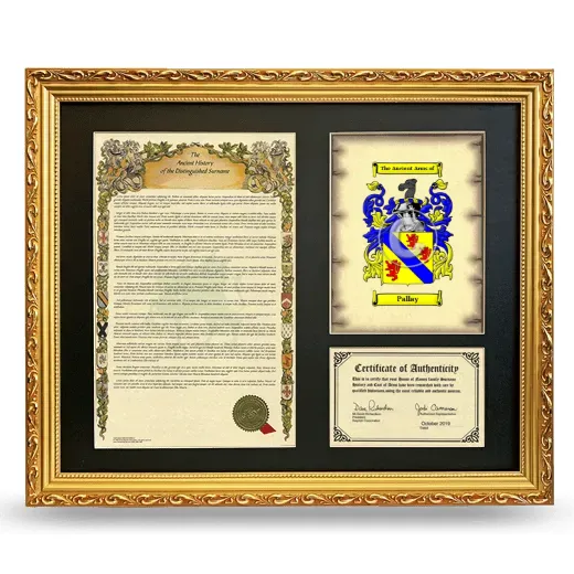Pallay Framed Surname History and Coat of Arms- Gold