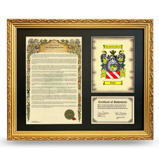 Pauer Framed Surname History and Coat of Arms- Gold