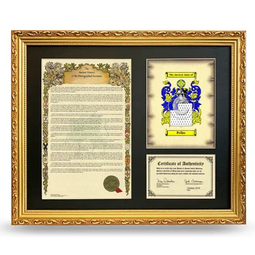 Peller Framed Surname History and Coat of Arms- Gold