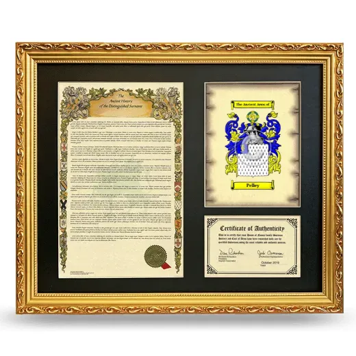 Pelley Framed Surname History and Coat of Arms- Gold