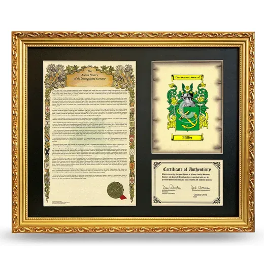 Pfiffer Framed Surname History and Coat of Arms- Gold