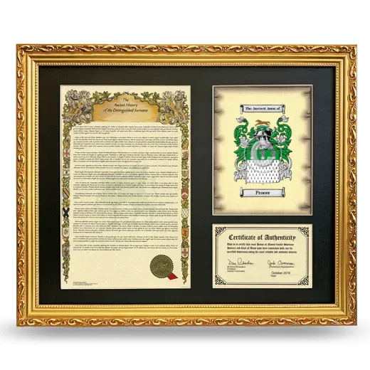 Procer Framed Surname History and Coat of Arms- Gold
