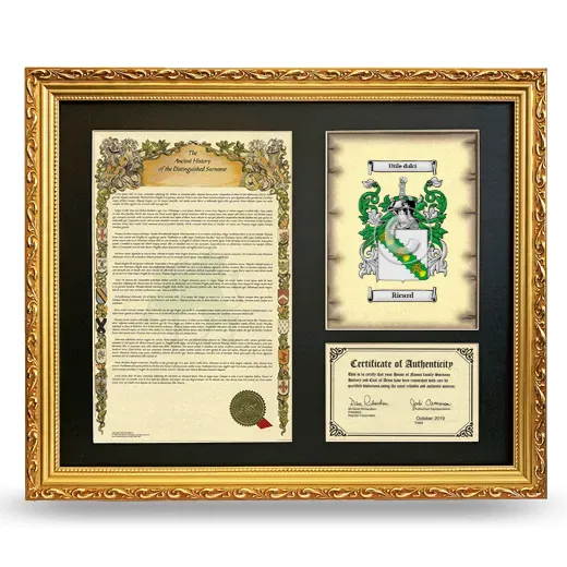 Ricard Framed Surname History and Coat of Arms- Gold
