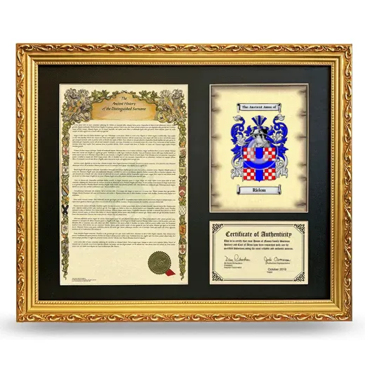 Ridon Framed Surname History and Coat of Arms- Gold