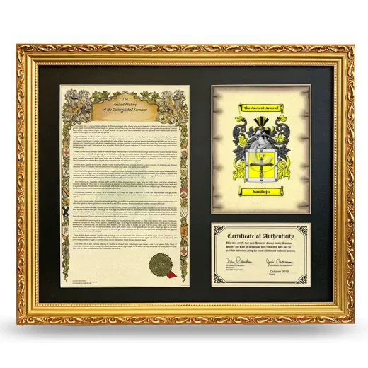 Santojo Framed Surname History and Coat of Arms- Gold