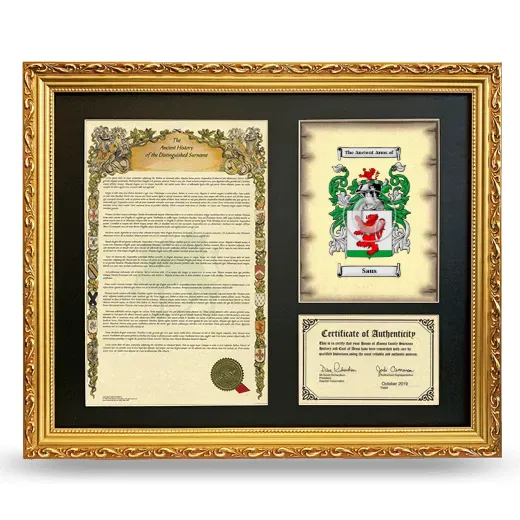 Saus Framed Surname History and Coat of Arms- Gold