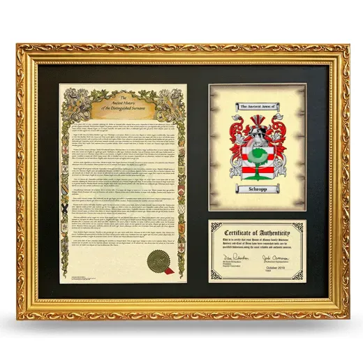 Schropp Framed Surname History and Coat of Arms- Gold