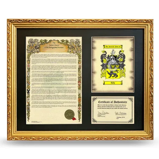 Sidy Framed Surname History and Coat of Arms- Gold