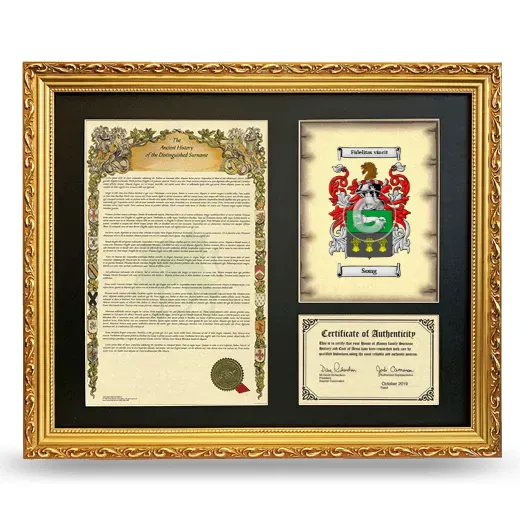 Song Framed Surname History and Coat of Arms- Gold