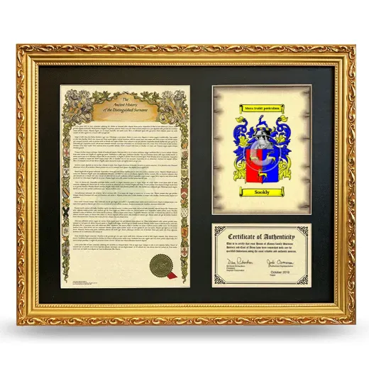 Sookly Framed Surname History and Coat of Arms- Gold