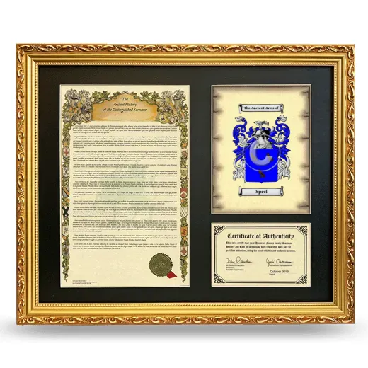 Sperl Framed Surname History and Coat of Arms- Gold