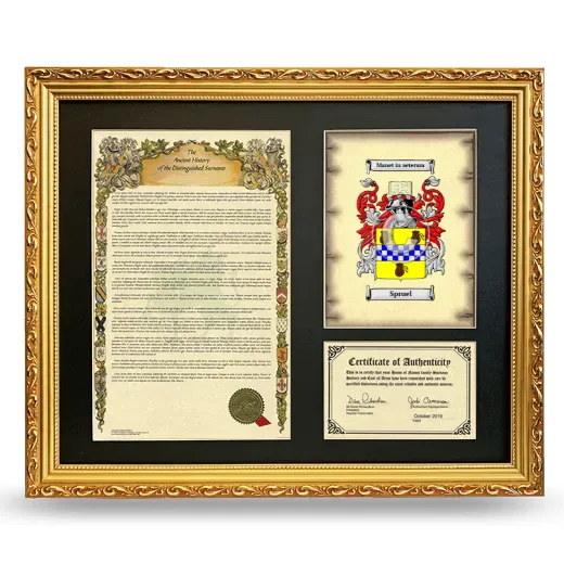 Spruel Framed Surname History and Coat of Arms- Gold