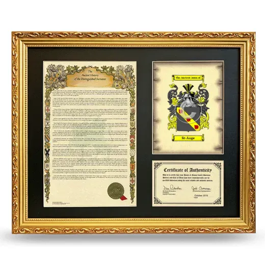 St-Ange Framed Surname History and Coat of Arms- Gold