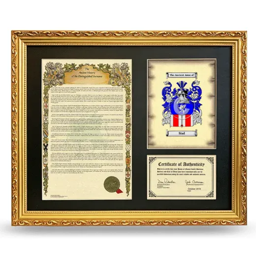 Stal Framed Surname History and Coat of Arms- Gold