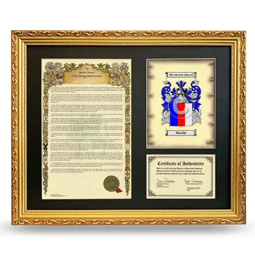 Steube Framed Surname History and Coat of Arms- Gold