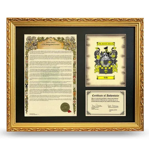 Stile Framed Surname History and Coat of Arms- Gold