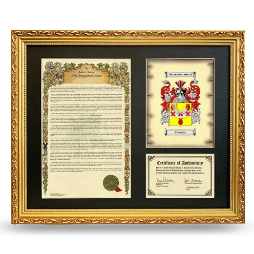 Stocum Framed Surname History and Coat of Arms- Gold