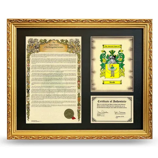 Stroh Framed Surname History and Coat of Arms- Gold