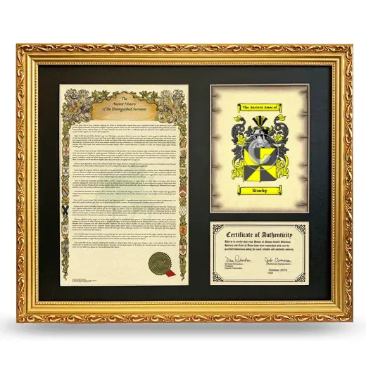 Stucky Framed Surname History and Coat of Arms- Gold