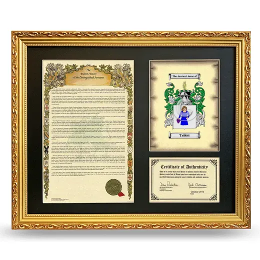 Tabbit Framed Surname History and Coat of Arms- Gold