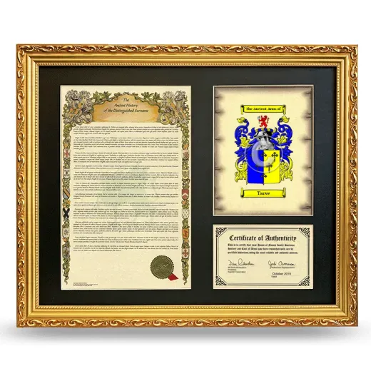 Tarve Framed Surname History and Coat of Arms- Gold