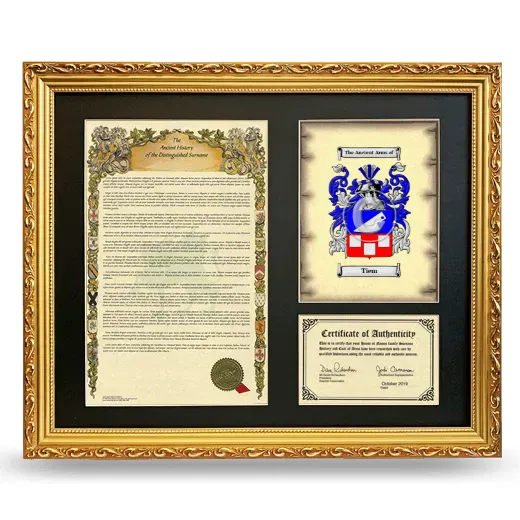 Tiem Framed Surname History and Coat of Arms- Gold