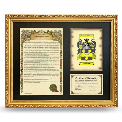 Valsassina Framed Surname History and Coat of Arms- Gold