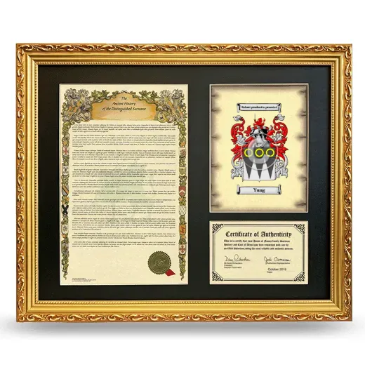 Yung Framed Surname History and Coat of Arms- Gold