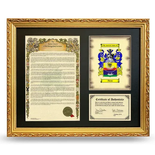 Zizza Framed Surname History and Coat of Arms- Gold