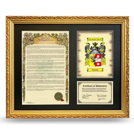 Zsarmir Framed Surname History and Coat of Arms- Gold