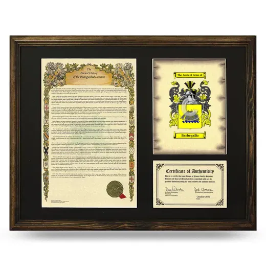 Barbegallo Framed Surname History and Coat of Arms - Brown