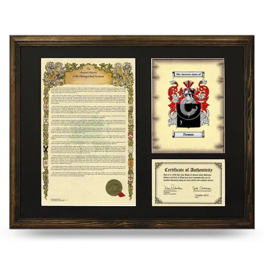 Damm Framed Surname History and Coat of Arms - Brown