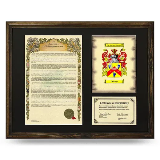 Dehaye Framed Surname History and Coat of Arms - Brown