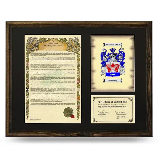 Donnally Framed Surname History and Coat of Arms - Brown