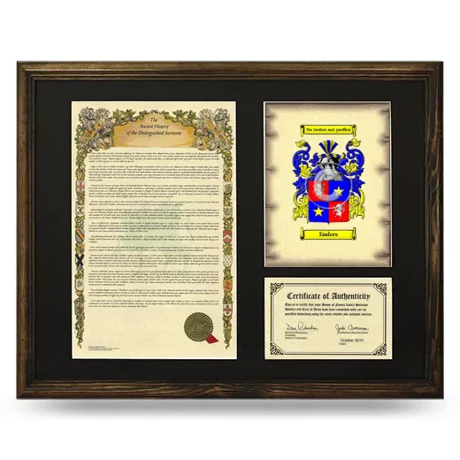 Endres Framed Surname History and Coat of Arms - Brown