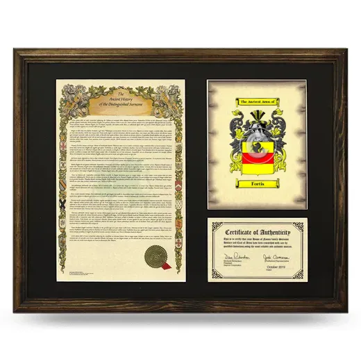 Fortis Framed Surname History and Coat of Arms - Brown