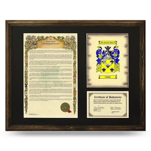 Gamiz Framed Surname History and Coat of Arms - Brown