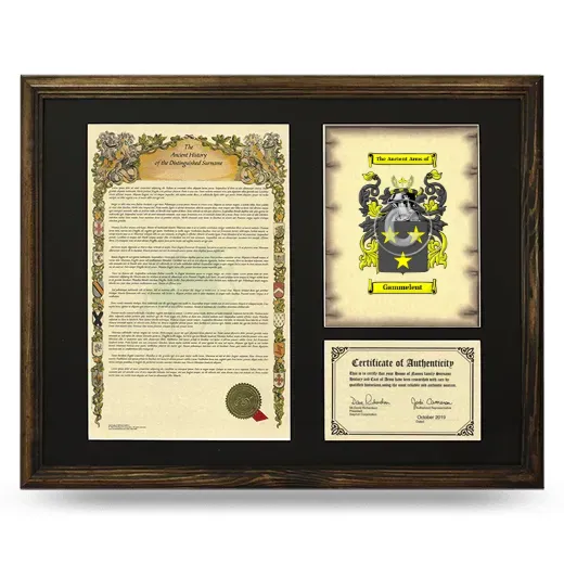 Gammelent Framed Surname History and Coat of Arms - Brown