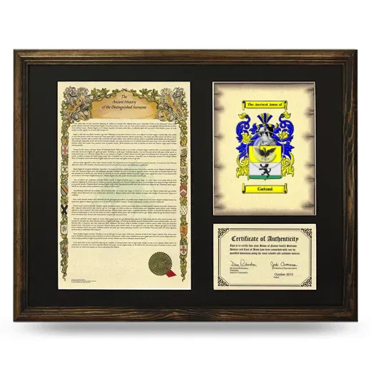 Gatoni Framed Surname History and Coat of Arms - Brown
