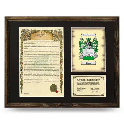Haasz Framed Surname History and Coat of Arms - Brown