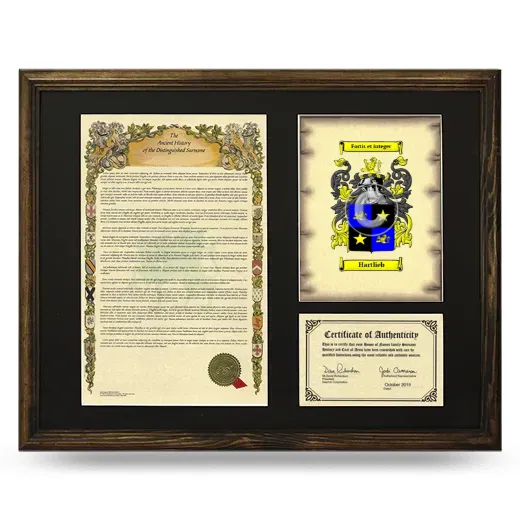 Hartlieb Framed Surname History and Coat of Arms - Brown