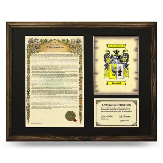 Knoepfel Framed Surname History and Coat of Arms - Brown