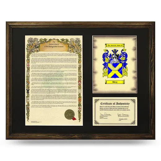 Mesy Framed Surname History and Coat of Arms - Brown