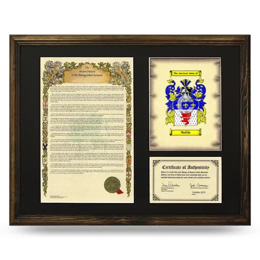 Noftle Framed Surname History and Coat of Arms - Brown