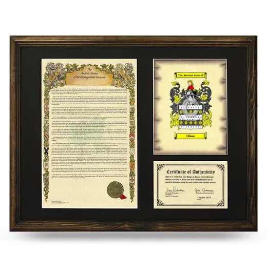 Olme Framed Surname History and Coat of Arms - Brown